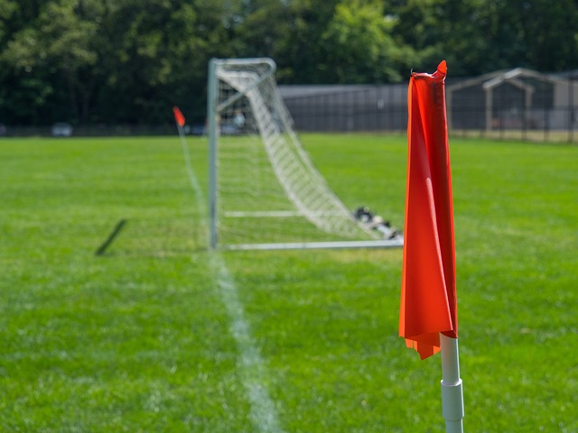 法将艺术和 法将艺术和