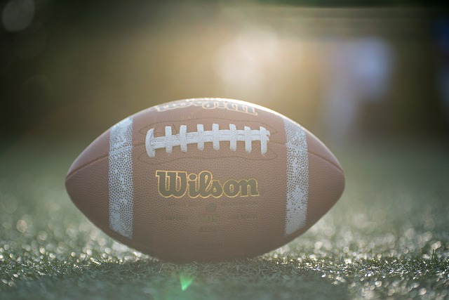 防御系统的 防御系统的