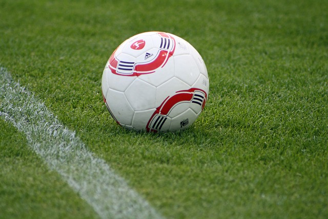 並不在少數 並不在少數