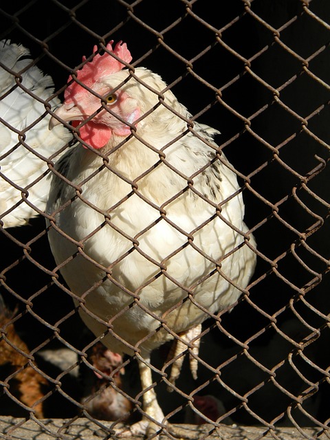 全面发展 全面发展