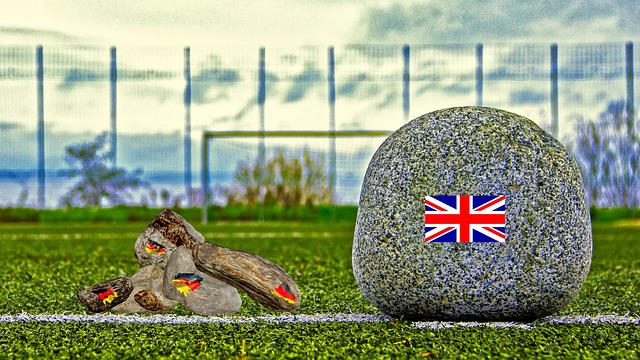 还通过多项 还通过多项