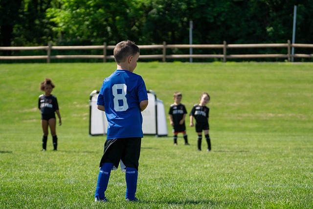 其中体育产 其中体育产