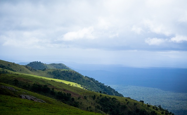 是体育运动 是体育运动