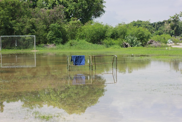 无论他能否 无论他能否